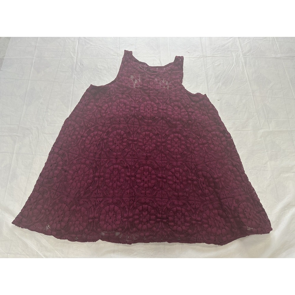 Free People Dress Womens Small A-Line Sleeveless Crochet Lace Cut Out Back Boho